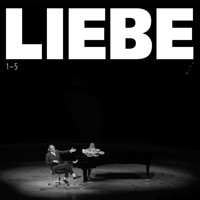 Hagen Rether, Liebe - Die Box (1-5) - Hagen Rether - Hörbuch