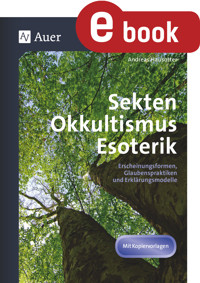 Sekten, Okkultismus, Esoterik - Andreas Hausotter - E-Book
