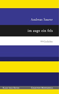 im auge ein fels - Andreas Saurer - E-Book