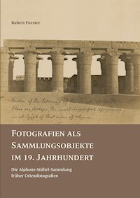Fotografien als Sammlungsobjekte im 19. Jahrhundert - Babett Forster - E-Book