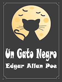 Un Gato Negro - Edgar Allan Poe - E-Book