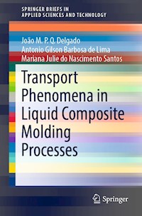 Transport Phenomena in Liquid Composite Molding Processes - João M.P.Q. Delgado - E-Book