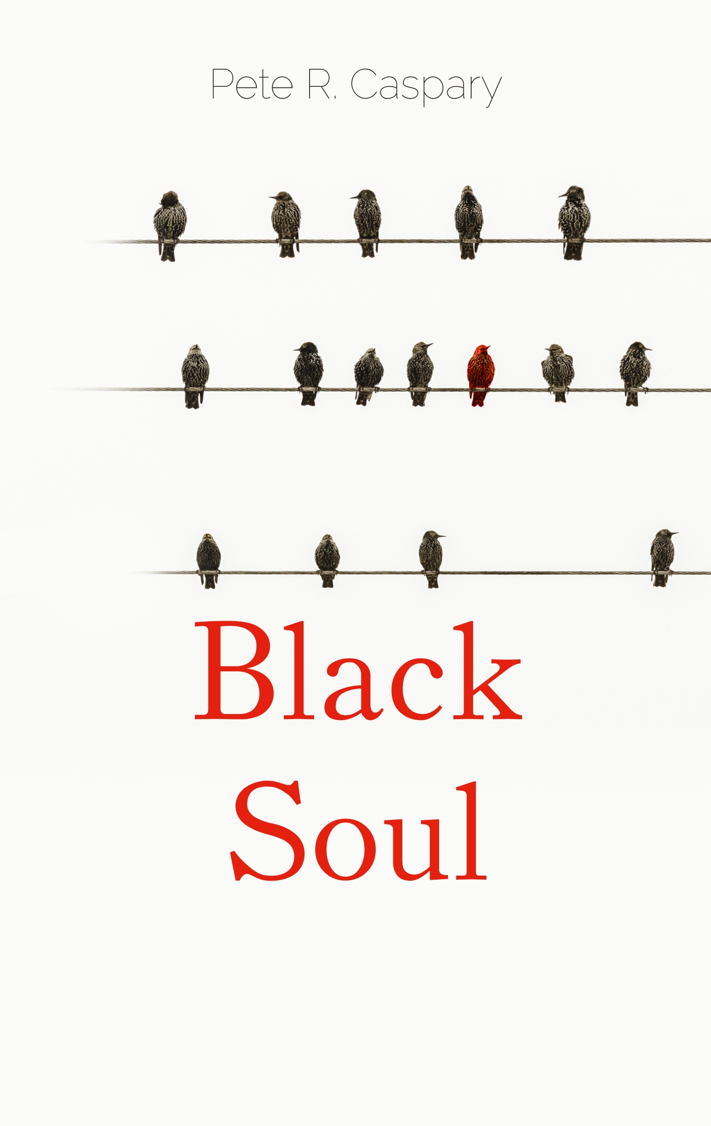 Black Soul - Pete R. Caspary - E-Book