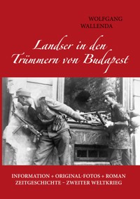 Landser in den Trümmern von Budapest - Wolfgang Wallenda - E-Book