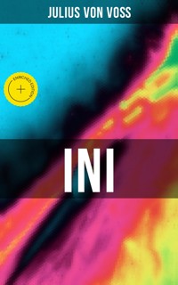 INI - Julius von Voß - E-Book