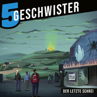 Der letzte Schrei - Tobias Schuffenhauer - Hörbuch