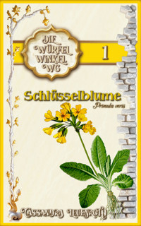 Schlüsselblume - Cassandra Leuenroth - E-Book