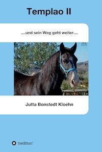 Templao II - Jutta Bonstedt Kloehn - E-Book