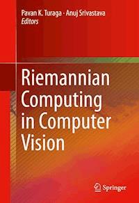 Riemannian Computing in Computer Vision -  - E-Book
