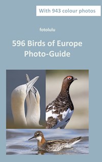596 Birds of Europe - fotolulu - E-Book