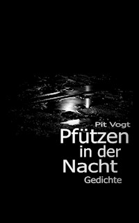 Pfützen in der Nacht - Pit Vogt - E-Book