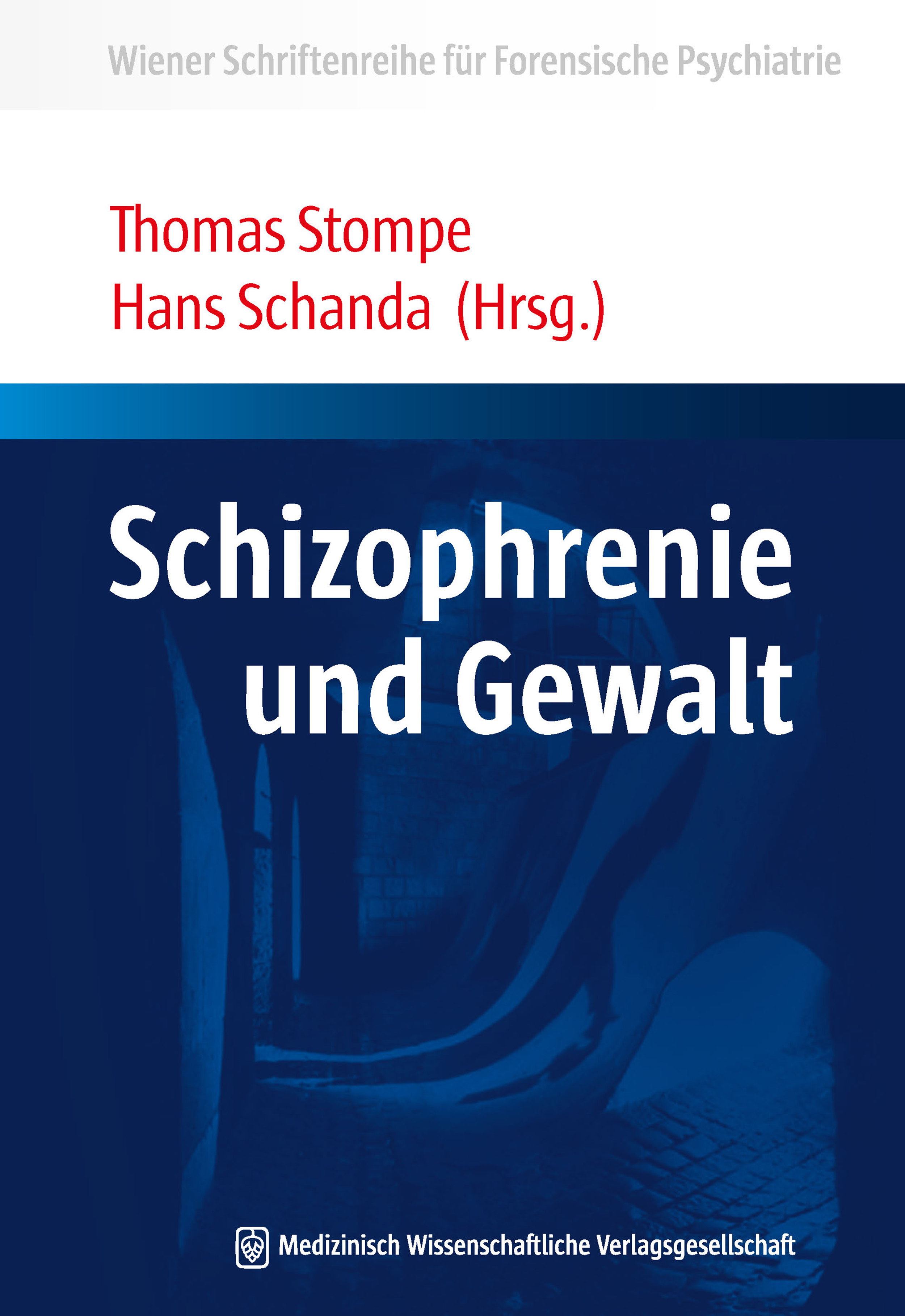 Schizophrenie und Gewalt -  - E-Book