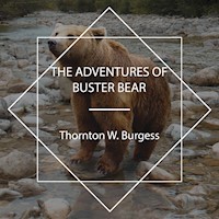 The Adventures of Buster Bear - Thornton W. Burgess - Hörbuch