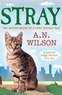 Stray - A.N. Wilson - E-Book