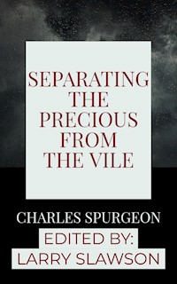 Separating the Precious From the Vile - Larry Slawson - E-Book
