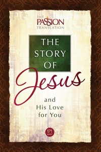 The Story of Jesus - Brian Simmons - E-Book