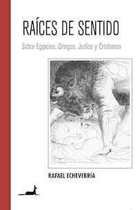 Raíces de Sentido - Rafael Echverría - E-Book