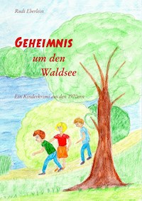 Geheimnis um den Waldsee - Rudi Eberlein - E-Book