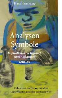 Analysen - Symbole 6304-05 - Franz Haverkamp - E-Book