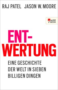 Entwertung - Raj Patel - E-Book