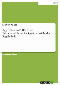 Aggression im Fußball und Fairnesserziehung im Sportunterricht der Regelschule - Steffen Knäbe - E-Book