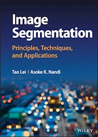 Image Segmentation - Tao Lei - E-Book