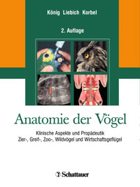Anatomie der Vögel -  - E-Book