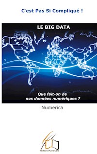 Le Big Data - Numerica - E-Book