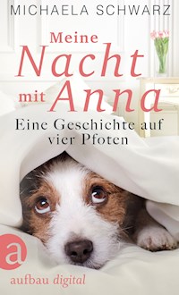 Meine Nacht mit Anna - Michaela Schwarz - E-Book