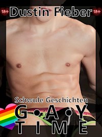 Gay Time - Schwule Geschichten - Dustin Fieber - E-Book