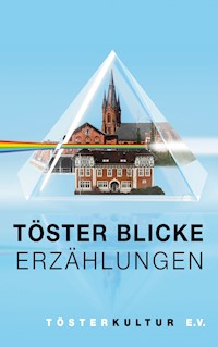 Töster Blicke – Erzählungen - Heidi Kolloch - E-Book