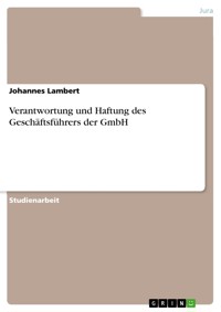 Verantwortung und Haftung des Geschäftsführers der GmbH - Johannes Lambert - E-Book