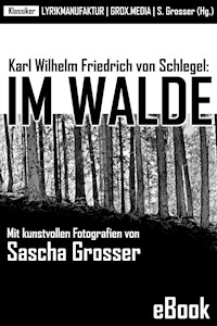 Karl Wilhelm Friedrich von Schlegel: Im Walde - Sascha Grosser (Hg.) - E-Book