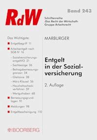 Entgelt in der Sozialversicherung - Horst Marburger - E-Book
