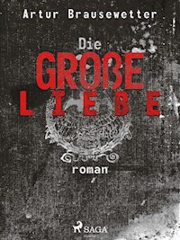 Die große Liebe - Artur Brausewetter - E-Book