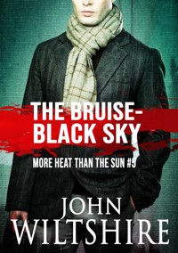 The Bruise-Black Sky - John Wiltshire - E-Book