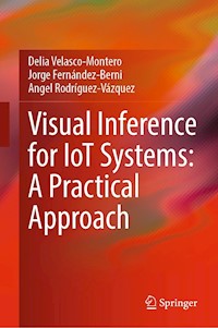 Visual Inference for IoT Systems: A Practical Approach - Delia Velasco-Montero - E-Book