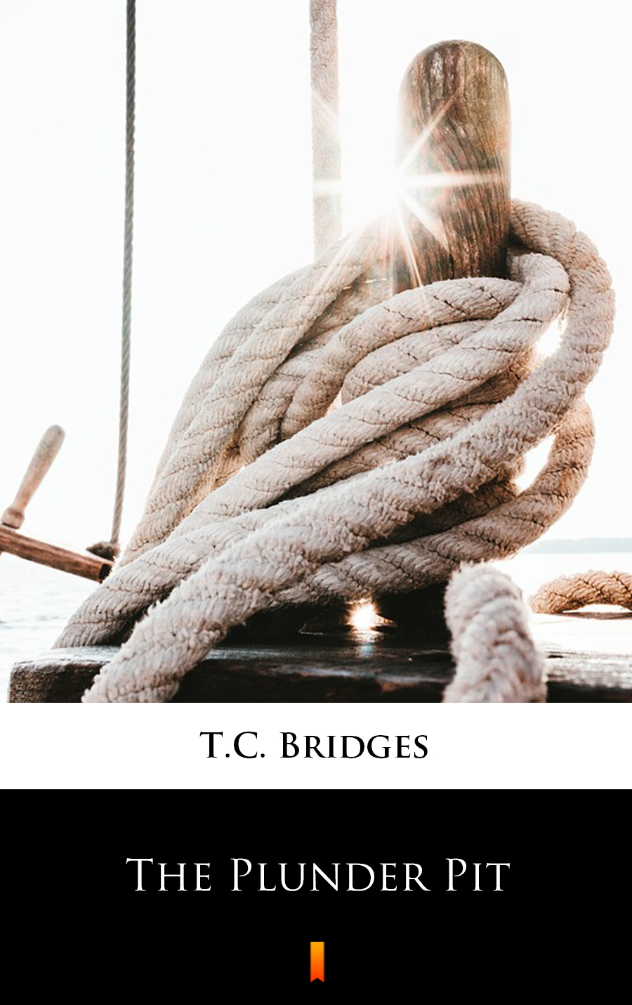 The Plunder Pit - T.C. Bridges - E-Book