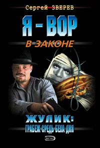 Жулик: Грабеж средь бела дня - Сергей Зверев - E-Book
