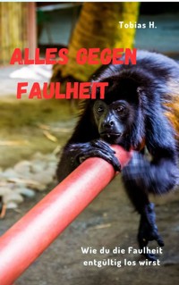 Alles gegen Faulheit - Tobias Hopfmüller - E-Book