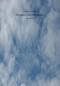Momente des Erkennens - Emma zur Nieden - E-Book