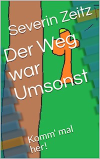 Der Weg war Umsonst - Severin Zeitz - E-Book