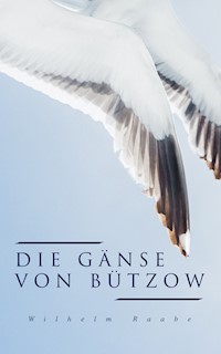 Die Gänse von Bützow - Wilhelm Raabe - E-Book
