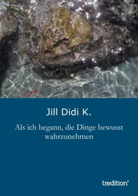 Als ich begann, die Dinge bewusst wahrzunehmen - Jill Didi K. - E-Book