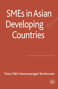 SMEs in Asian Developing Countries - Tulus Tahi Hamonangan Tambunan - E-Book