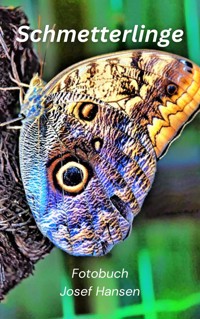 Schmetterlinge - Josef Hansen - E-Book