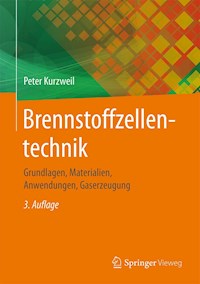 Brennstoffzellentechnik - Peter Kurzweil - E-Book