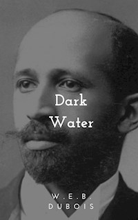 Darkwater - W.E.B. Dubois - E-Book