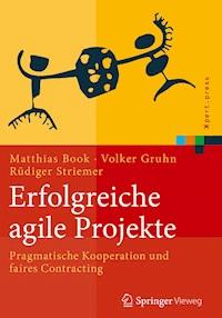 Erfolgreiche agile Projekte - Matthias Book - E-Book