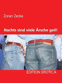 Nachts sind viele Ärsche geil! - Zoran Zecke - E-Book